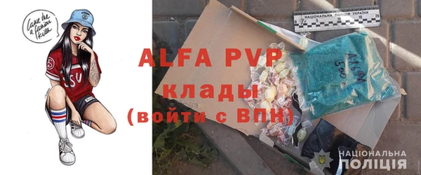 эйфоретик Новодвинск