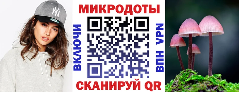 Псилоцибиновые грибы Psilocybe  Шлиссельбург 